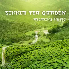 Sikkim Tea Garden, Relaxing Music by Traditional & Traditional Indian Music album reviews, ratings, credits