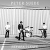 Before I Leave - Single