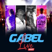 Gabel (Live 2023) artwork