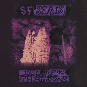 SF Seals - Stellar lullabye