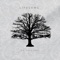 Lifelong (feat. Kenzie Ware & Wade McNutt) - Br. Vince Mary lyrics