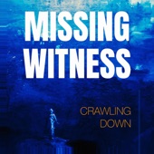 Missing Witness - Run, Hide