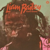 Liam Bailey - I Got No Answers