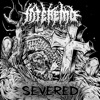 Severed - Single