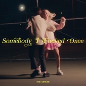 Somebody I F****d Once (Lady Bee Remix) artwork