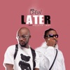 Later (feat. Kelvyn Boy) - Single