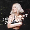 I Know What You Want - Single
