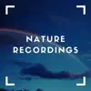Blue Skies Nature Mix - Single album lyrics, reviews, download
