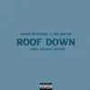 Roof Down (feat. Joe Mayer) - Single album lyrics, reviews, download