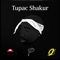 Tupac Shakur - Q. Revy lyrics