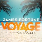 Voyage (feat. Waka Flocka Flame) artwork