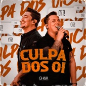 Culpa dos Oi (Ao Vivo) artwork