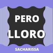Pero Lloro (Radio Edit) artwork