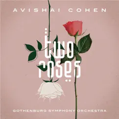 Two Roses (Commented Version) by Avishai Cohen, Elchin Shirinov & Mark Guiliana album reviews, ratings, credits