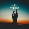 Synergy - Single