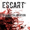 BrainReCalibration (2012)