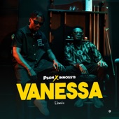 Vanessa (Remix) artwork