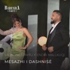 Mesazhi i dashnisë - Single