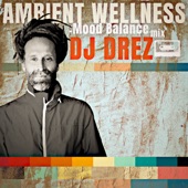 Ambient Wellness (DJ Mix) artwork