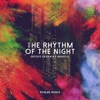 The Rhythm of the Night (Ronan Remix) - Single