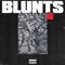 BLUNTS (feat. TRAFIK) - Citixzzen lyrics