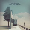 Feel It Coming - Single