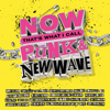 Various Artists - NOW That's What I Call Punk & New Wave artwork