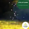 Petal of Flower - The Collection of Nature Music album lyrics, reviews, download