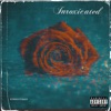 Intoxicated - Single