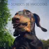 Sonidos De Mascotas - Single album lyrics, reviews, download
