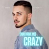 (You Drive Me) Crazy - Single