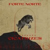 Cicatrizes - Single