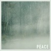 Peace - Single