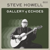 Steve Howell - Stocking Feet Blues