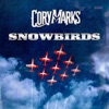 Snowbirds - Single, 2023