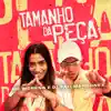 Tamanho da Peça - Single album lyrics, reviews, download