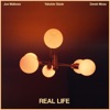 Real Life - Single