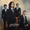 Insomniacks - Sempurna