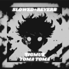 Toma Toma (Brazilian Phonk) [Slowed + Reverb] - Tigmus