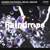 Sander van Doorn - Raindrops (feat. Chacel)