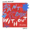 Can't Do Without (My Baby) [Remixes] - Single album lyrics, reviews, download