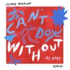 Can't Do Without (My Baby) [Remixes] - Single