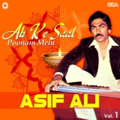 Ab Ke Saal Poonam Mein artwork