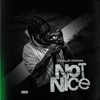 Not Nice - Single