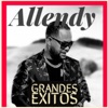 Grandes éxitos - EP