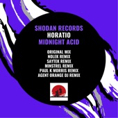 Midnight Acid (Minstrel Remix) artwork