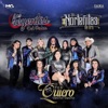 Te Quiero Tanto, Tanto (feat. Las Norteñitas de Oro) - Single