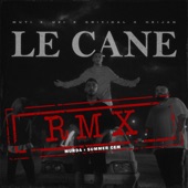 LE CANE (RMX) artwork