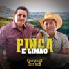 Pinga e Limão - Single