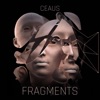 Fragments - Single